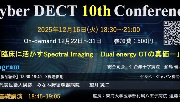 Cyber DECT 10th Conference